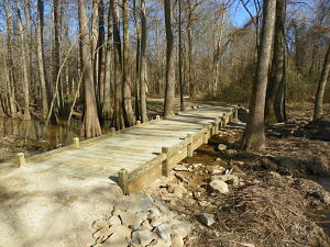 Primitive trail 013 opt